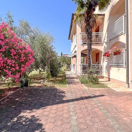 Viola Three Apartment Novigrad  Bagian luar foto