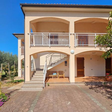 Viola Three Apartment Novigrad  Bagian luar foto