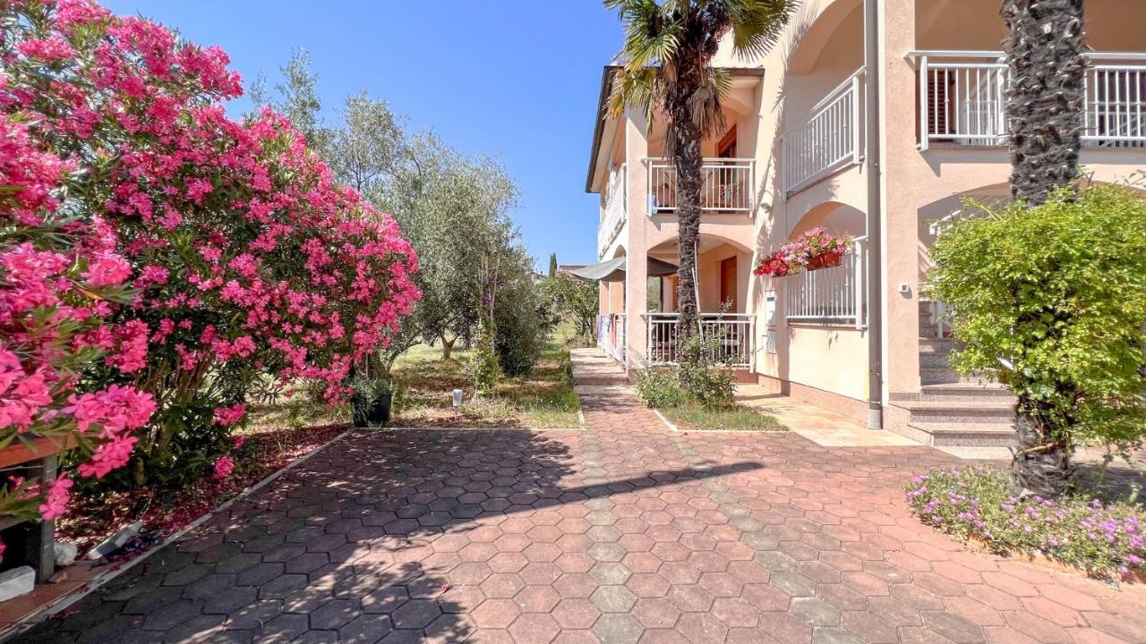 Viola Three Apartment Novigrad  Bagian luar foto