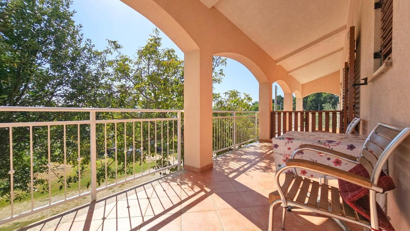 Viola Three Apartment Novigrad  Bagian luar foto