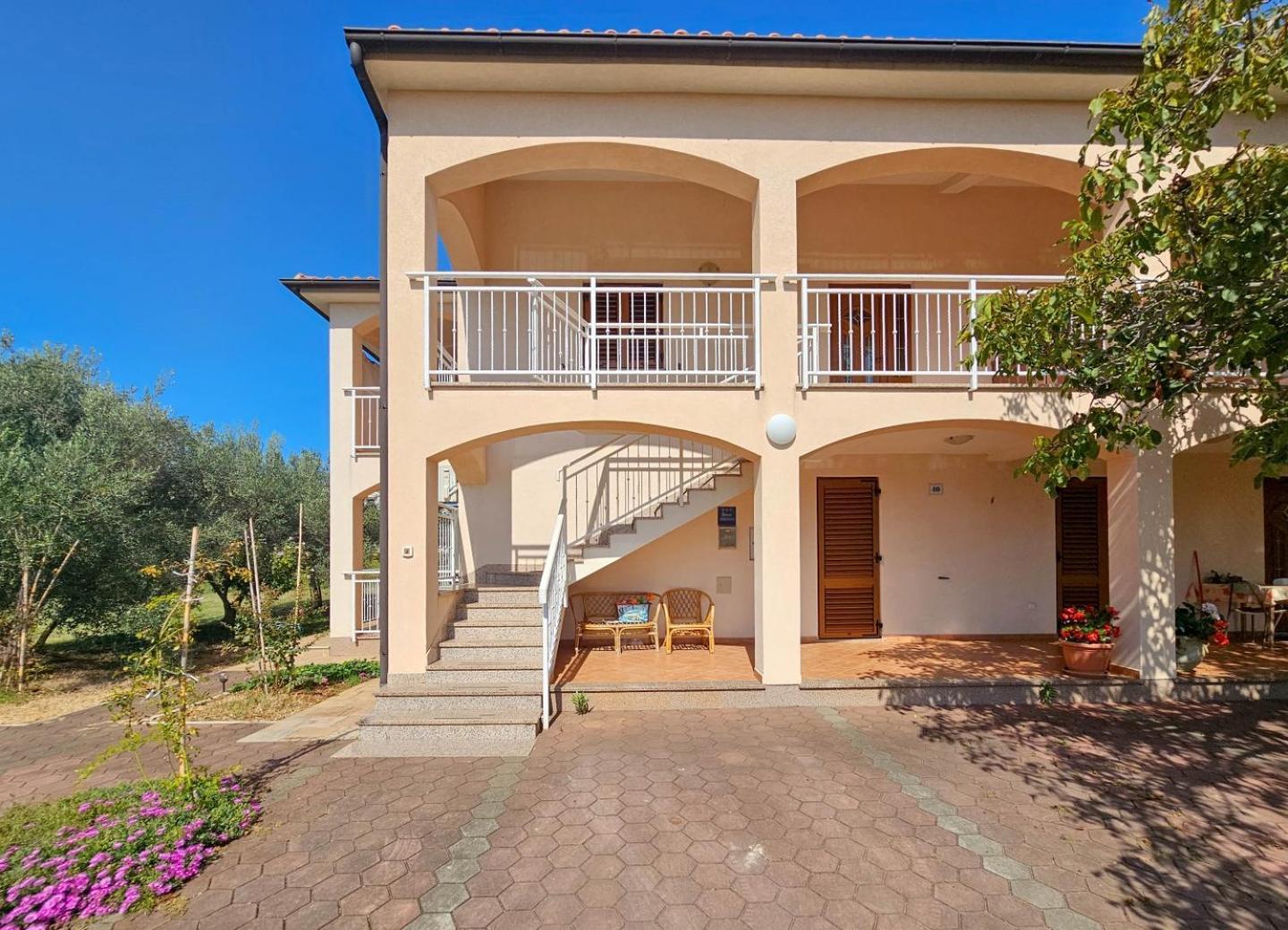 Viola Three Apartment Novigrad  Bagian luar foto