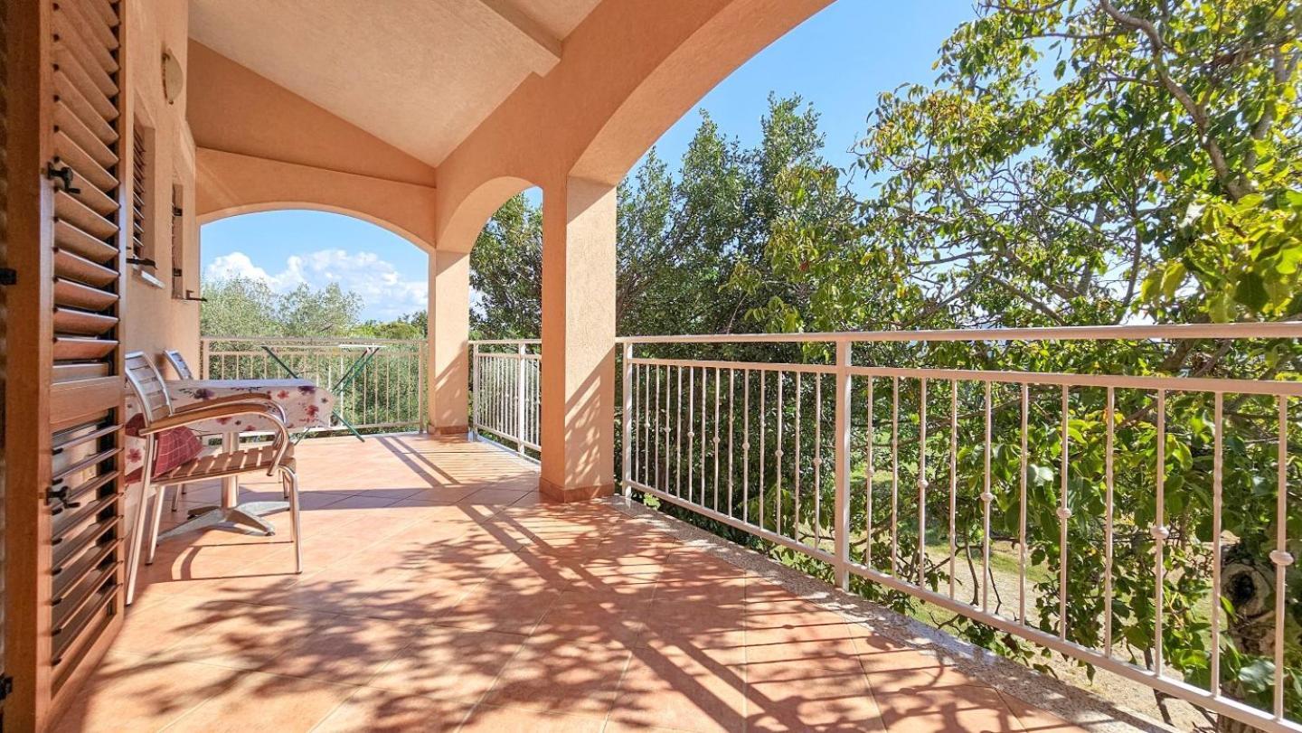 Viola Three Apartment Novigrad  Bagian luar foto
