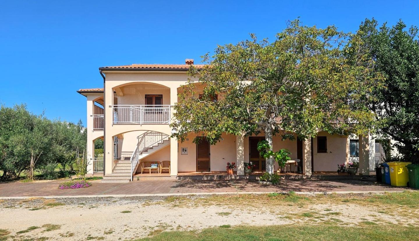Viola Three Apartment Novigrad  Bagian luar foto