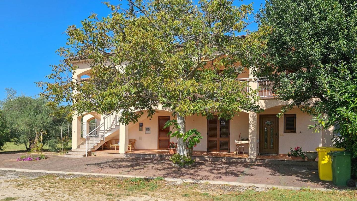 Viola Three Apartment Novigrad  Bagian luar foto